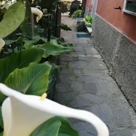 A Ca Du Barba * Monterosso al Mare