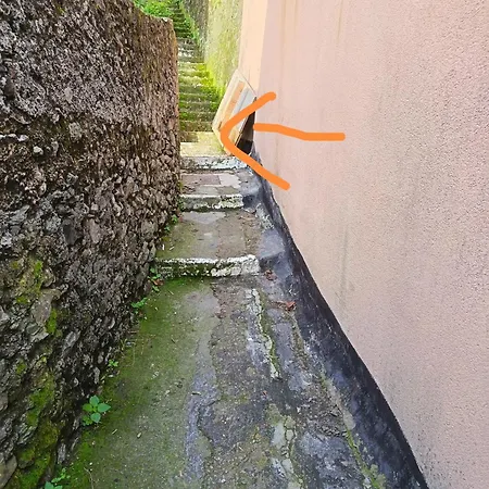 A Ca Du Barba 公寓 蒙特罗索阿尔马雷