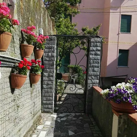 A Ca Du Barba 蒙特罗索阿尔马雷