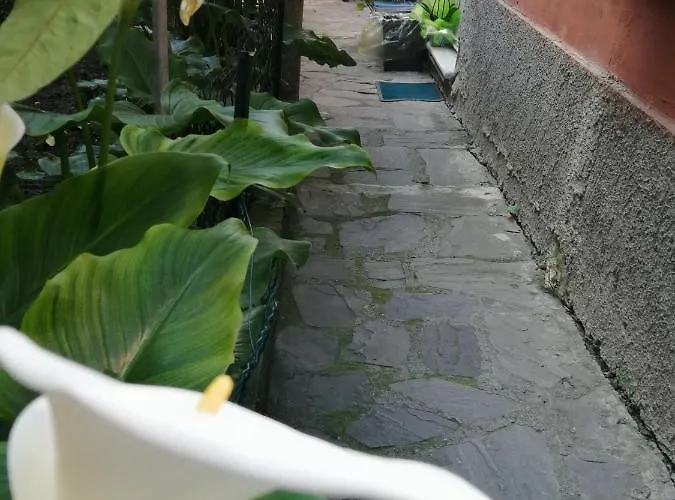 A Ca Du Barba * Monterosso al Mare