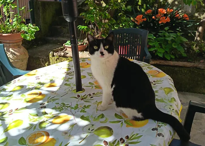 A Ca Du Barba 蒙特罗索阿尔马雷